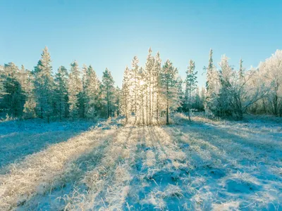 VREMEA Va fi o iarnă geroasă datorită unui vortex polar. La ce se așteptăm peste câteva luni? Foto: Pexels (fotografie cu caracter ilustrativ)