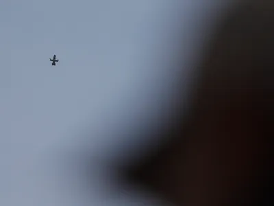Exerciţiu NATO cu drone, la Capu Midia - Foto: INQUAM PHOTOS/Mălina Norocea