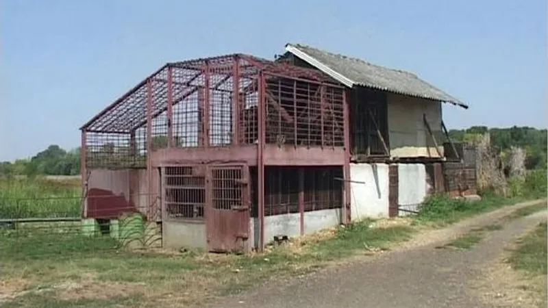 Acestea sunt cuștile în care torționarul urșilor din Arad chinuie bietele animale de 29 de ani Foto: millionsoffriends.org
