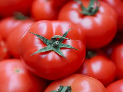 Roşii frumoase - Foto: Pexels/Valeria Boltneva (Imagine cu caracter ilustrativ)