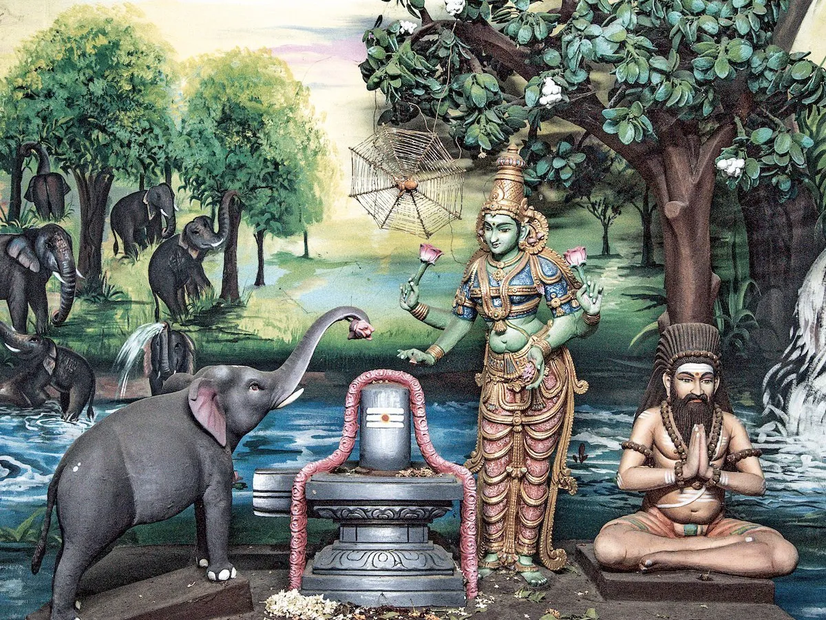 Interiorul Templului Jambukeswarar din Tiruchirappalli, Tamil Nadu