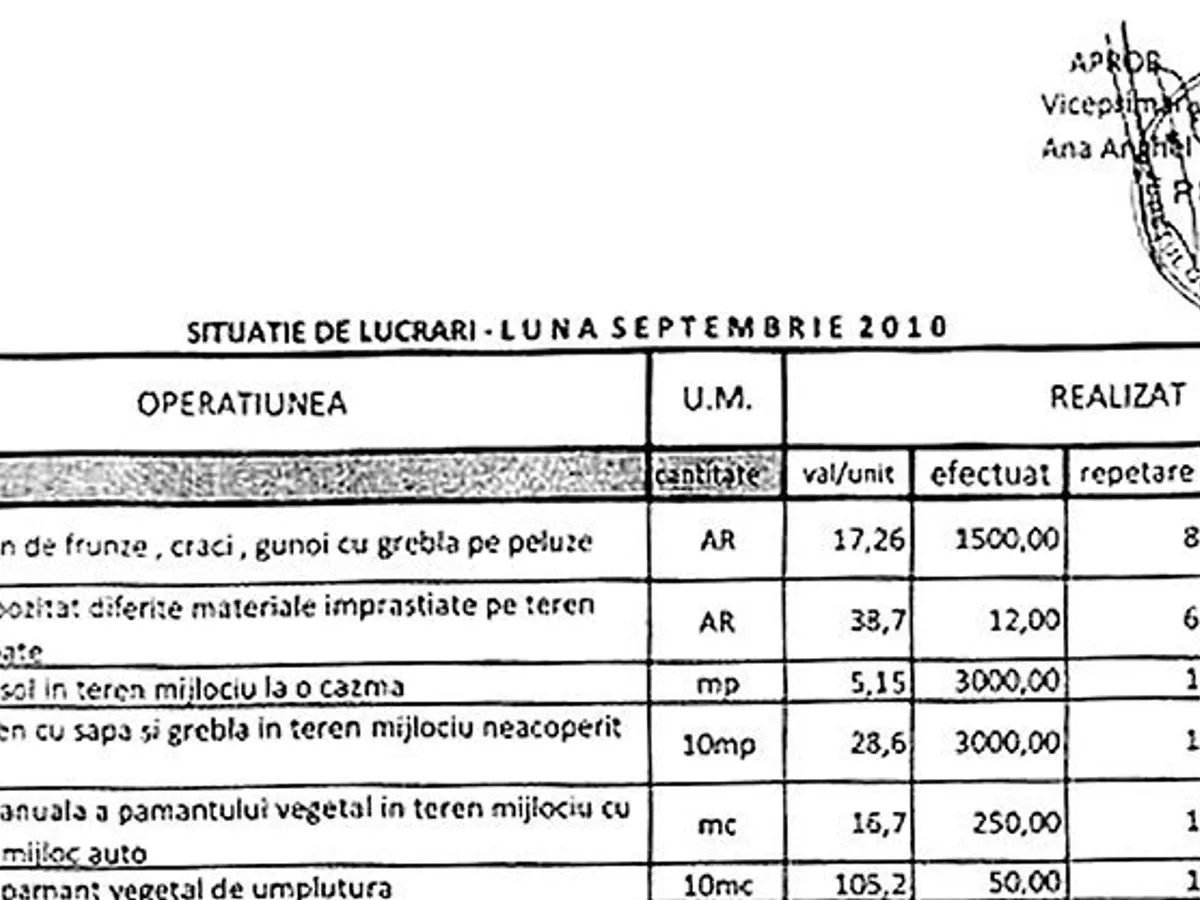Curățatul frunzelor costă locuitorii din Slatina sute de mii 