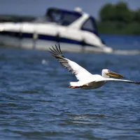 Delta, ocupată aproape 100% de turiști, de Rusalii, în ciuda prețurilor: 2.000 lei/persoană/3 zile. / Foto: Inquam Photos / Alex Nicodim