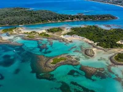 Lichadonisiae - Foto: Profimedia Images