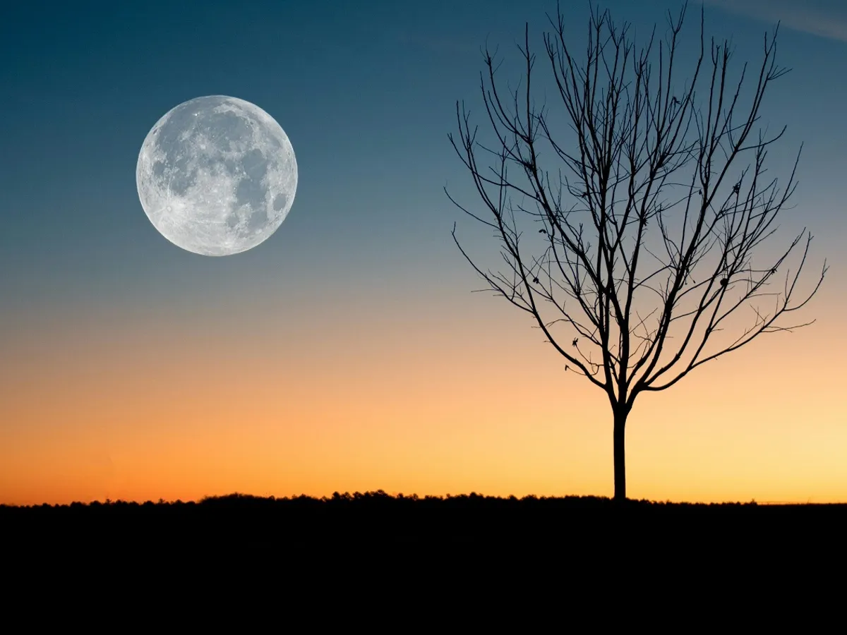 Omul care vinde teren pe Lună și în Sistemul Solar - Foto: Pexels (cu rol ilustrativ)