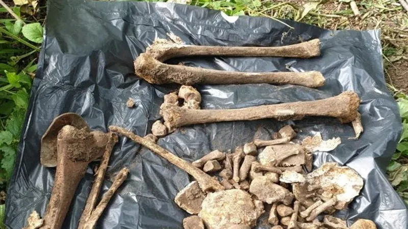 Rămășițele descoperite în groapa comună din pădurea Vulturi vor fi reînhumate în Cimitirul Evreiesc din Iași. Sursa foto: Institutul Wiesel