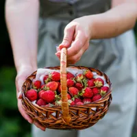 De ce nu trebuie să tai frunzele căpșunelor înainte de a le spăla? Cum să cureți fructele corect - Foto: Freepik.com (Imagine cu caracter ilustrativ)