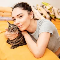 Țara care vrea să interzică pisicile de companie - Foto: Pexels/stokking (cu rol ilustrativ)