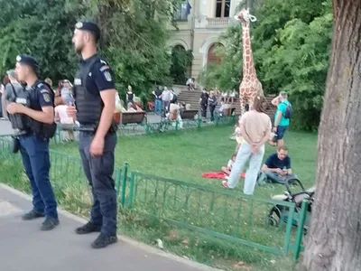 Maniestanţi în curs de adunare, la Girafă, în faţa Muzeului Antipa - Foto: Facebook/Corupţia Ucide