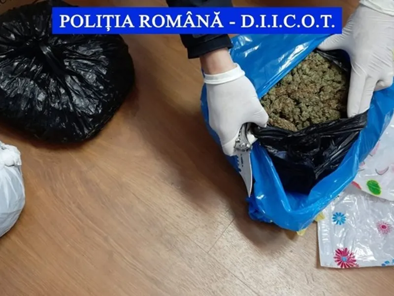 Un gălățean a primit din Spania un colet cu 2,5 kilograme de cannabis. Bărbatul a fost reținut. / Foto: news.ro