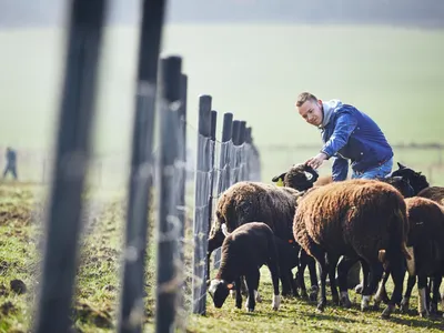 Ciobanii amenință cu protest din cauza blocajelor la export și deciziilor sanitar-veterinare - Foto: Freepik (Imagine cu rol ilustrativ)
