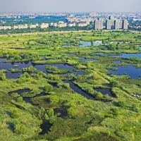 Primăria Capitalei a preluat în administrare Parcul Național Văcărești. / Foto: news.ro