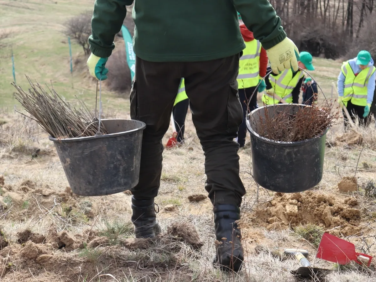 Fundația Pădurea de Mâine și-a atins obiectivul de a planta 1.000.000 de puieți în 5 ani.