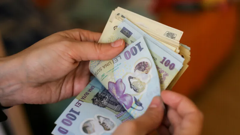 Județul din România unde se câștigă mai bine ca în străinătate, 100 euro/zi. Ce trebuie să faci? - Foto: Profimedia images (imagine rol ilustrativ)