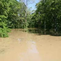 Se apropie inundaţiile! Pericol major în Maramureş şi Satu Mare, pe râurile Vişeu, Iza, Tur şi Lăpuş - Foto: Pixnio