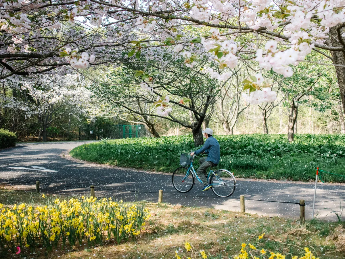 Surprize meteo la munte: precipitații sub toate formele, în timp ce restul țării se încălzește