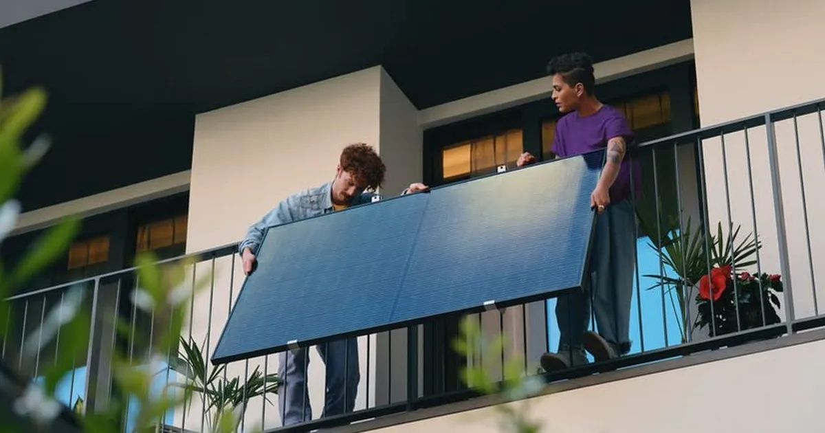 in pe balcon? Iată ce poți alimenta cu ele • Newsweek România