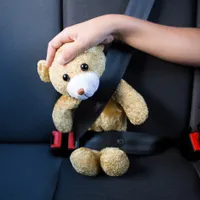 „Efectul elefantului”: Specialiștii recomandă șoferilor să cupleze centurile spate tot timpul - Foto: Profimedia Images - Imagine cu rol ilustrativ
