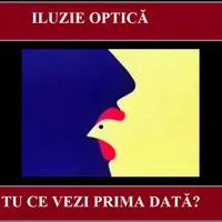 Iluzie optică Foto: Newsweek România