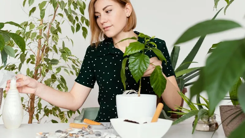 Plantă extraterestră descoperită în zona unui oraș fantomă. Ce spun cercetătorii - Foto: Freepik.com (rol ilustrativ)