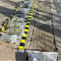 Captură impresionantă a polițiștilor din mașina unui român. DIICOT a intrat pe fir - Foto: IPJ