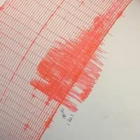 Cutremur în România în urmă cu câteva minute. S-a resimțit în 5 orașe. Ce magnitudine a avut? - Foto: Facebook/INCDFP