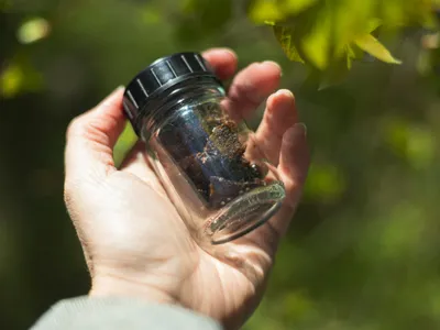 Compus pe bază de scoarță de mesteacăn pentru cauciucuri - Foto: Nokian