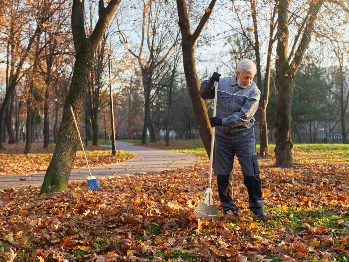 De ce să aplici var în grădină în luna noiembrie. Se folosește doar dacă solul este acid