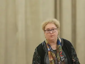 Cine ar urma să o înlocuiască pe Renate Weber: doi profesori de drept, susținuți de PNL și UDMR