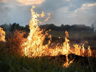 Incendiu - Foto: Magnific.com (Imagine cu rol ilustrativ)
