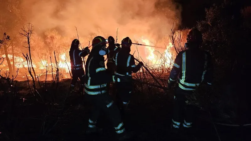 Grecia, curinsă de incendii. 40 de pompieri români luptă cu flăcările. Unul a ajuns la spital - Foto: Facebook/IGSU