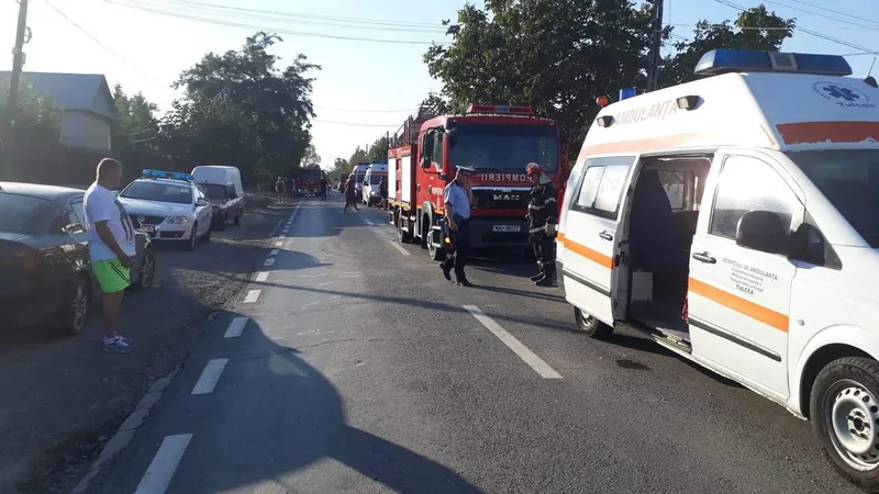 Accident înfiorător pe un drum din Tulcea. O femeie a murit, iar alte 4 persoane au fost rănite - Foto: Arhiva (imagine cu rol ilustrativ)