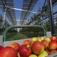 Cum poți pune panouri fotovoltaice și cultiva legume, pe același pământ? Iei și bani de la stat - Foto: Profimedia Images