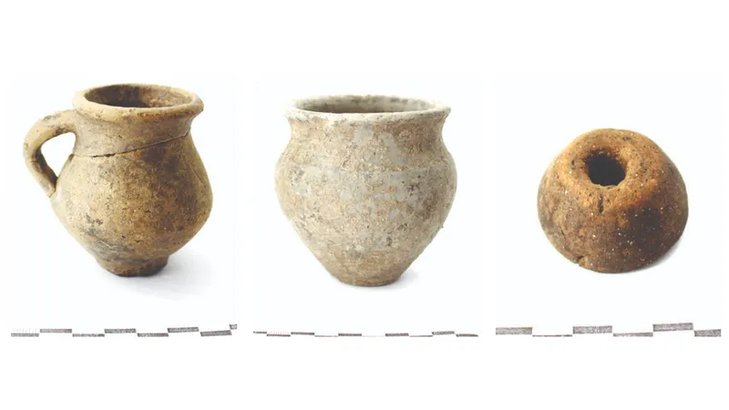 Artefacte vechi de peste două milenii au fost găsite într-o necropolă din Timișoara - Foto: culturatimis.ro