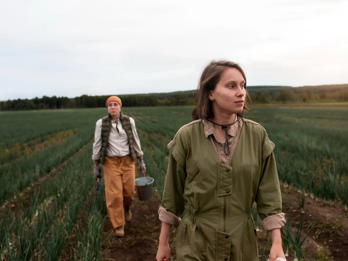 Agricultură - Foto Freepik (rol ilustrativ)