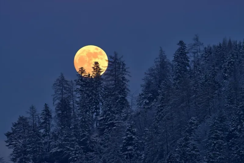 Lună Foto: Profimedia (imagine cu rol ilustrativ)