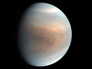 Planeta Venus. Sursa foto: BBC News