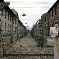 Descoperire macabră în apropierea unui fost lagăr de concentrare din Polonia/FOTO: Profimedia