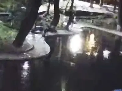 O gașcă de puști teribiliști a vandalizat lăculețul abia refăcut din Parcul Kiseleff. / Foto: captură video