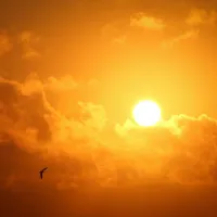 Noi alerte de caniculă pentru cea mai mare parte a țări/FOTO: Unsplash