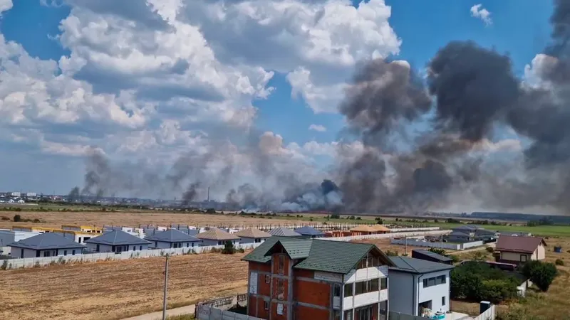 Incendiu puternic de vegetaţie în zona Măgurele - Bragadiru. Fumul se vede din București - Foto: captură video