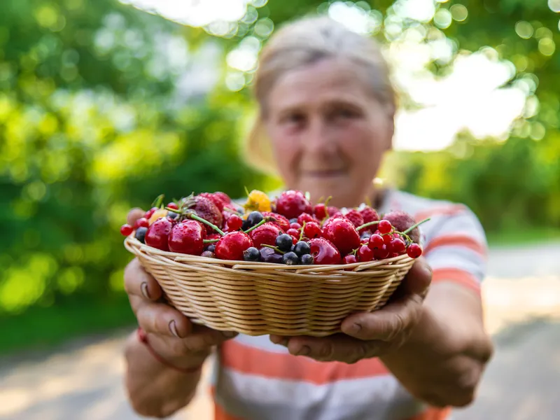 Fructul zilei, un diuretic natural din grădina ta. Mică și plină de vitamine. Acră, dar și dulce - Foto: Profimedia Images (imagine cu rol ilustrativ)