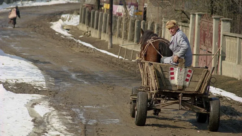 Băcăuan arestat după ce a fost filmat în timp ce târa un animal mort agățat de căruță - FOTO: Profimedia Images - Caracter ilustrativ