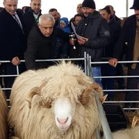 Ministrul Agriculturii Petre Daea
