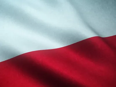 Polonia steag - Foto: Freepik (rol ilustrativ)