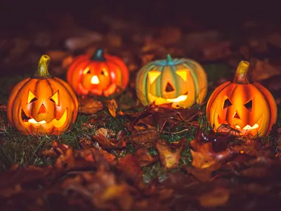 Dovleci sculptați de Halloween - Foto: Profimedia (rol ilustrativ)