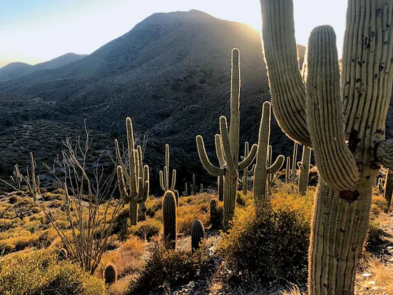 Traseele din Desert Mountain  - Scottsdale, Arizona