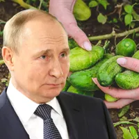 Putin sună o fetiță de 8 ani din Zaporojie, cerându-i să îi trimită castraveți de la țară - FOTO: Profimedia