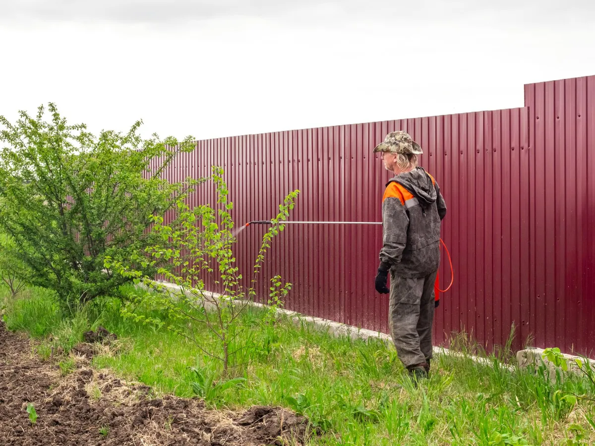 Bărbat care stropește copacii primăvara - Foto: Freepik (Imagine cu rol ilustrativ)