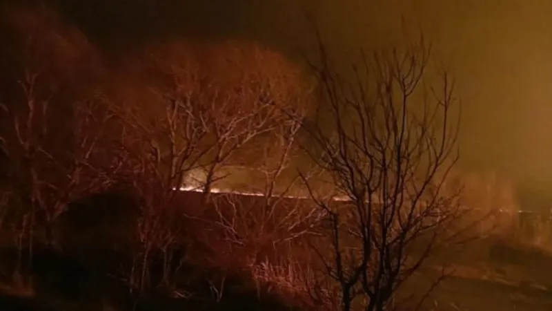 Incendiu în Deltă - Foto: Arhivă